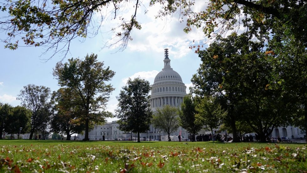 american congress